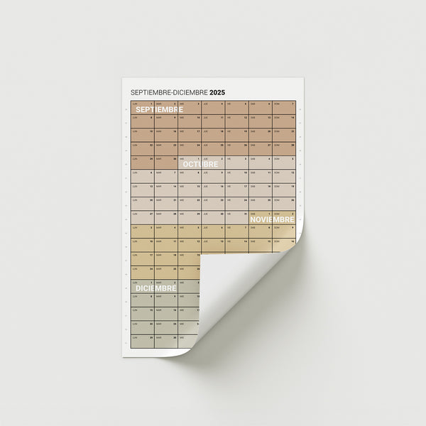 Mini 2025 – Cuatrimestre Vertical