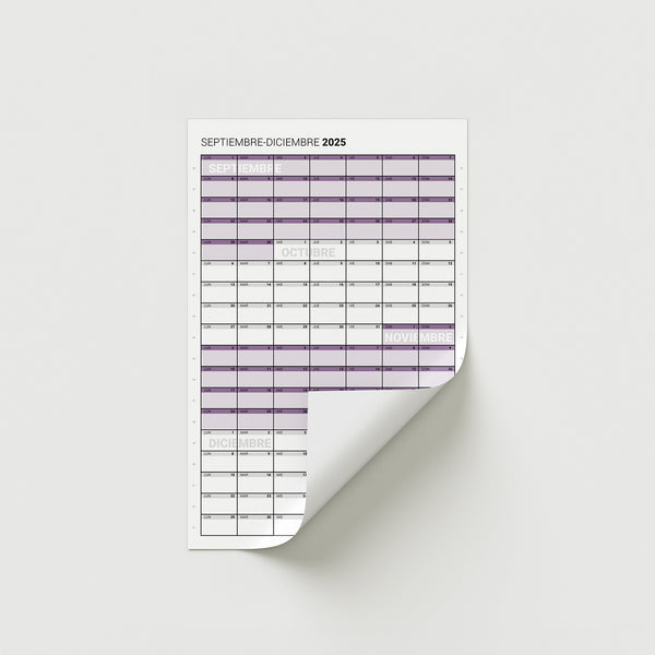 Mini 2025 – Cuatrimestre Vertical