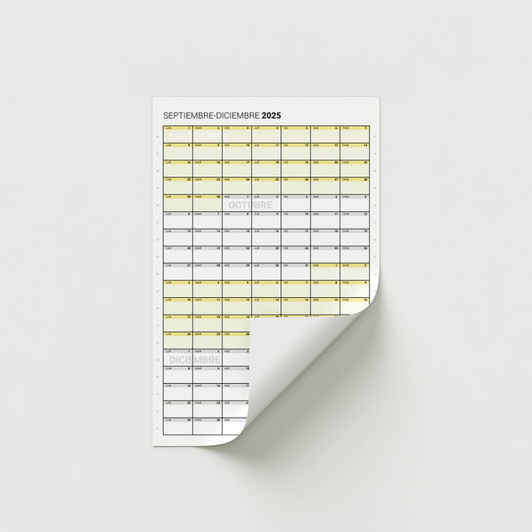 Mini 2025 – Cuatrimestre Vertical