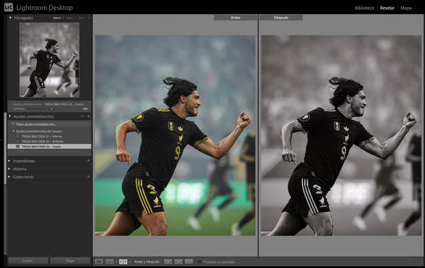 Trega Black & White Preset