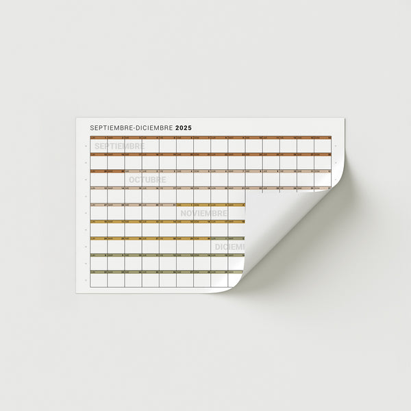 Mini 2025 – Cuatrimestre Horizontal