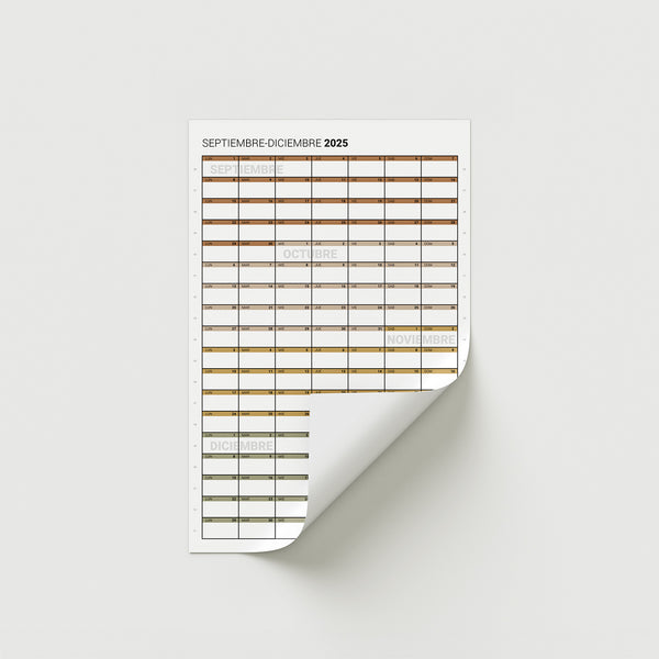 Mini 2025 – Cuatrimestre Vertical