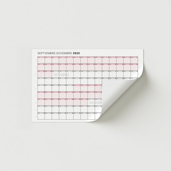 Mini 2025 – Cuatrimestre Horizontal