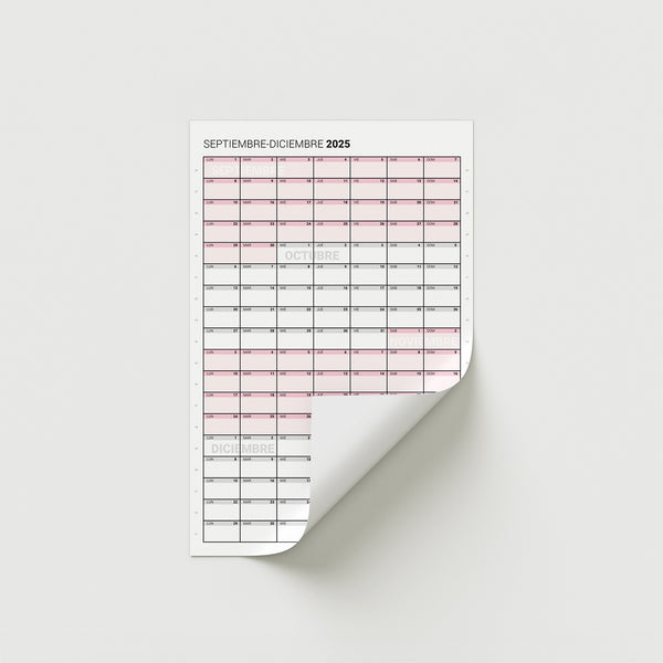 Mini 2025 – Cuatrimestre Vertical