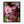 Messi jersey