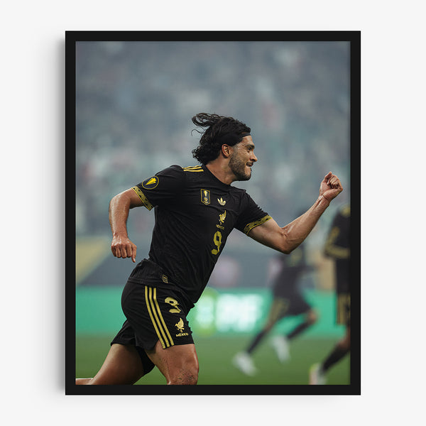 Raúl Gol